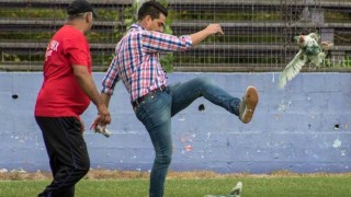 La logística para entrar a una gallina a la cancha - Darwin - Columna Deportiva - DelSol 99.5 FM