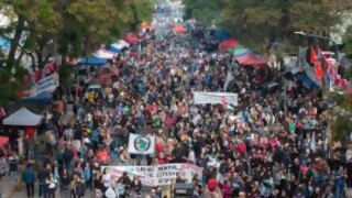 Aplaudir como focas - La Charla - DelSol 99.5 FM