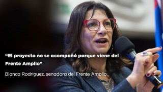 “El proyecto no se acompañó porque viene del Frente Amplio - Entrevistas - DelSol 99.5 FM