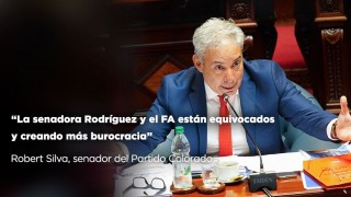 “La senadora Rodríguez y el FA están equivocados y creando más burocracia” - Entrevistas - DelSol 99.5 FM