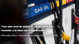 “Con este nivel de déficit el Estado tiene que recaudar y lo hace con el combustible”  - Entrevistas - DelSol 99.5 FM
