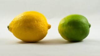 ¿Qué fruta o verdura pueden tirar más lejos? - Sobremesa - DelSol 99.5 FM