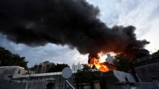 Darwin, el pájaro parrillero, los mini pigs y las viejas del incendio - Columna de Darwin - DelSol 99.5 FM