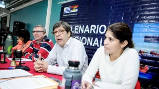 El anali del plenario del Frente Amplio y la defensa del cotonete - Columna de Darwin - DelSol 99.5 FM