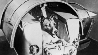 La indignación de Darwin por la ausencia de Laika en el Museo Cosmonáutico ruso - Columna de Darwin - DelSol 99.5 FM