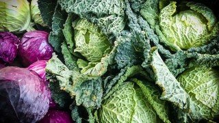 La relación entre veganos y anarcos en el temprano siglo XX uruguayo - NTN Concentrado - DelSol 99.5 FM