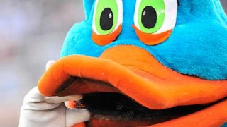 Darwin, su hijo patobasero y la defensa del pato celeste - Columna de Darwin - DelSol 99.5 FM