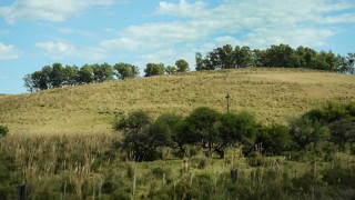 Disfrutar de un paseo en el campo - Segmento humorístico - DelSol 99.5 FM
