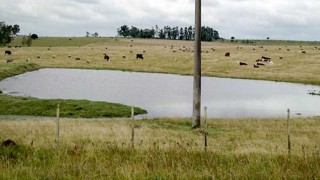 Los aportes especiales del agro al BPS y las “repúblicas imaginarias” de Venezuela - NTN Concentrado - DelSol 99.5 FM