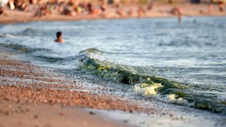 Nueva sección de Darwin tras la ola de calor: ¿dónde te pica? - Columna de Darwin - DelSol 99.5 FM