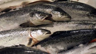 La grieta del salmón en Argentina - Facundo Pastor - DelSol 99.5 FM