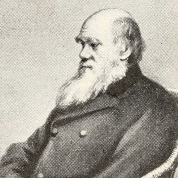 El naturalista Charles Darwin episode artwork