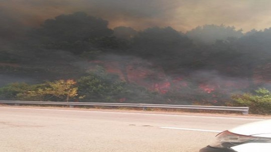 Incendios en Rocha y Canelones: “El fuego está descontrolado” - Entrevistas - Doble Click | DelSol 99.5 FM