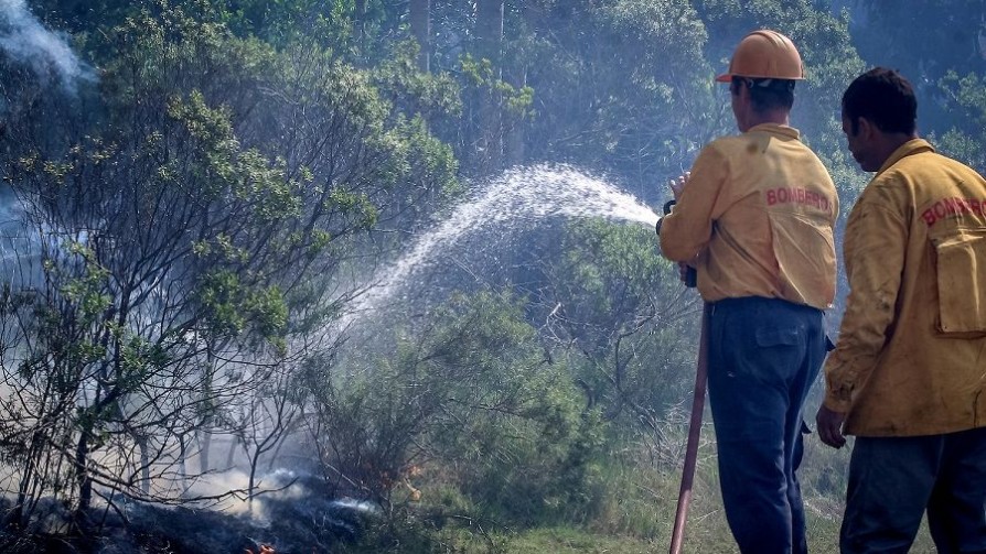 Carencias de Bomberos que “quedan en evidencia” tras incendios forestales - Informes - No Toquen Nada | DelSol 99.5 FM