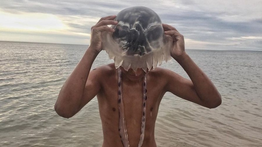 Fotos del celular: cómo ordenar, archivar e imprimir  - Leo Barizzoni - No Toquen Nada | DelSol 99.5 FM