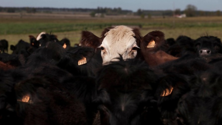 ¿Qué debería producir Uruguay si se dejara de exportar carne? - Sobremesa - La Mesa de los Galanes | DelSol 99.5 FM