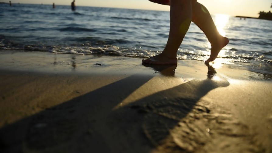 ¿Qué porcentaje de personas que va a la playa no se mete al agua? - Sobremesa - La Mesa de los Galanes | DelSol 99.5 FM