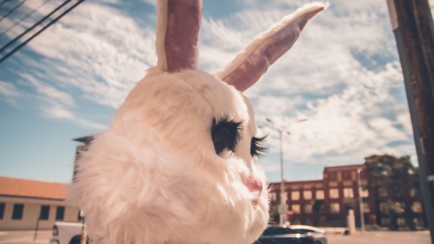 El nuevo influencer político: un conejo blanco - Arranque - Facil Desviarse | DelSol 99.5 FM