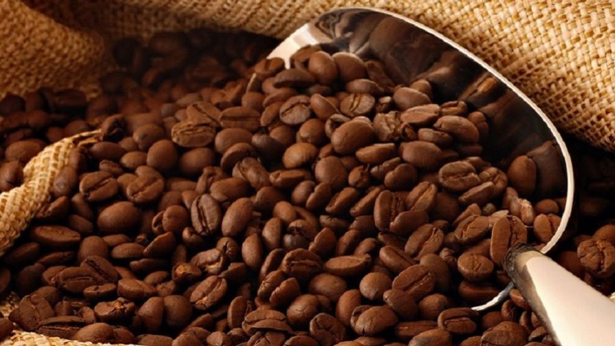 Moliendo café: de un cafetal venezolano a las canchas del mundo - La Receta Dispersa - Quién te Dice | DelSol 99.5 FM