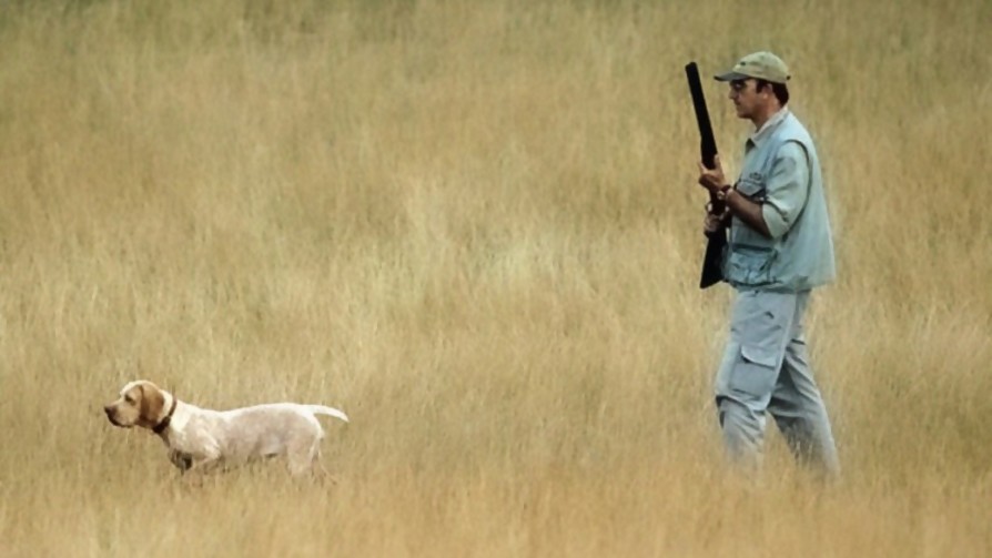 Polémico decreto sobre caza fue redactado por la Asociación de Cazadores - Entrevistas - Doble Click | DelSol 99.5 FM