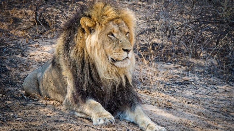 Cuidado viajero - Segmento humorístico - La Venganza sera terrible | DelSol 99.5 FM