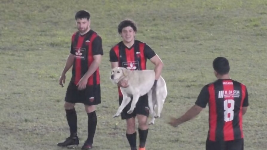 El verdadero Matturro que salvó un perro en pleno partido - Deporgol - La Mesa de los Galanes | DelSol 99.5 FM