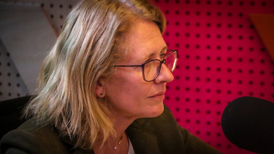 Mides quiere que parte de recaudación de la IM por tarifado vaya para cuidacoches - Entrevista central - Facil Desviarse | DelSol 99.5 FM