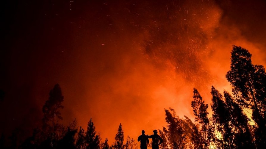 Las (primeras) estaciones del camino del ambienmentalista - Darwin concentrado - No Toquen Nada | DelSol 99.5 FM