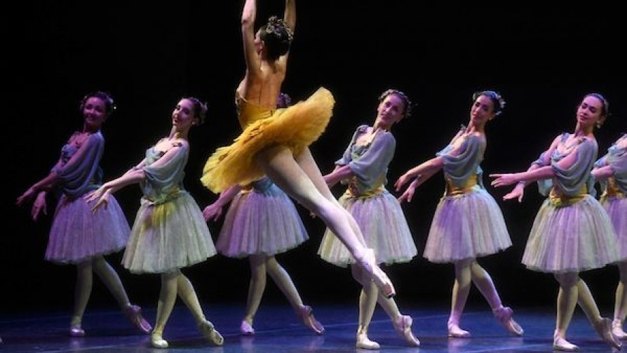 El test de Darwin para saber si se dejó de ser joven y el coup d'État en el Ballet - Darwin concentrado - No Toquen Nada | DelSol 99.5 FM
