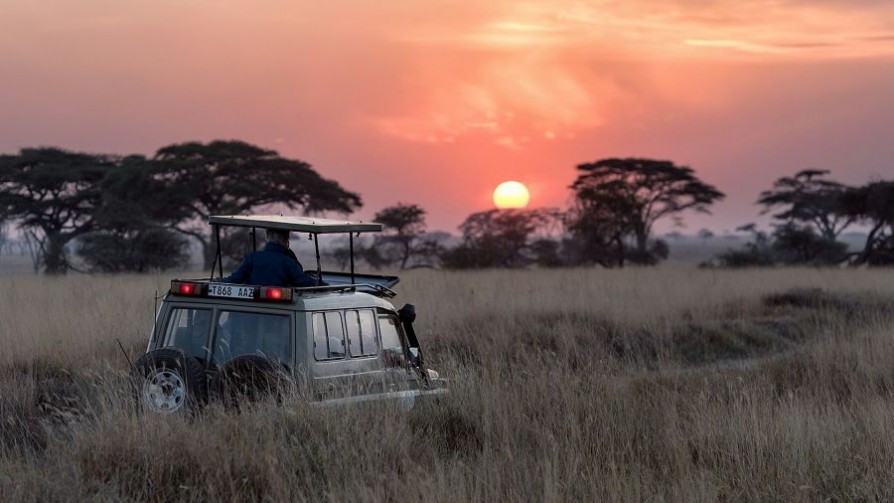 Mamá, me voy a un safari en África - Segmento humorístico - La Venganza sera terrible | DelSol 99.5 FM