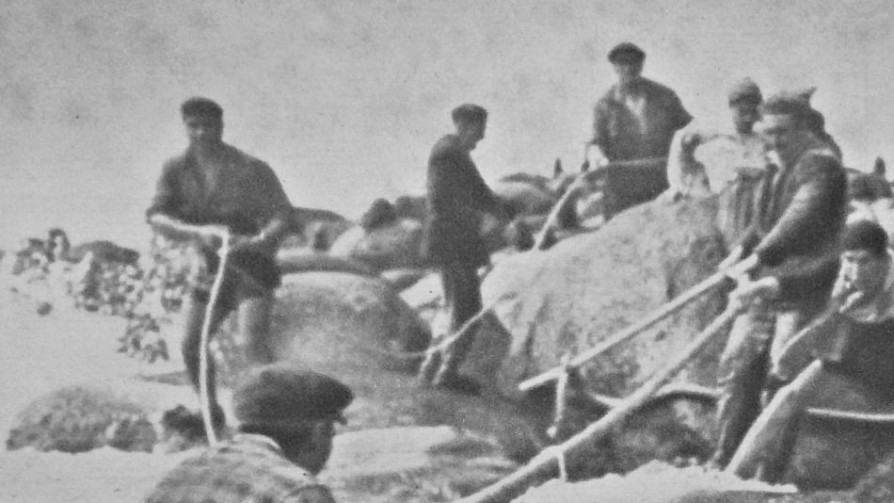 Historia de la lobería en Uruguay - parte 2  - Audios - Facil Desviarse | DelSol 99.5 FM