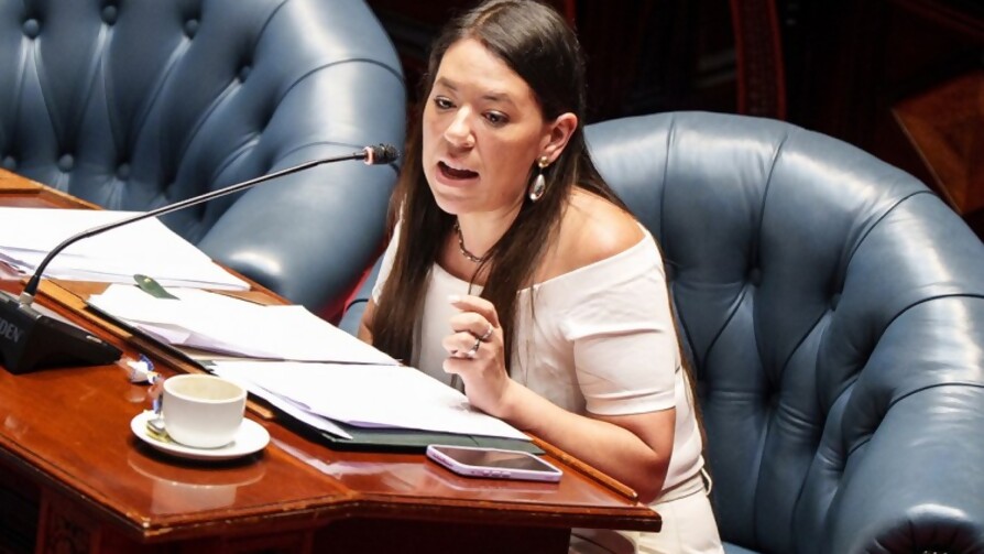 “No es un daño interpelar a un canciller que está en su mejor momento” - Entrevistas - Doble Click | DelSol 99.5 FM