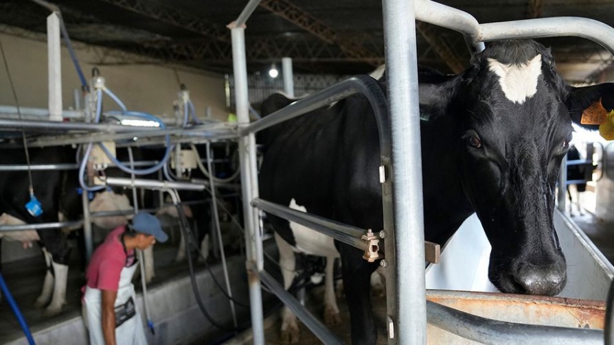 “Vemos un futuro incierto en la lechería del país”  - Entrevistas - Doble Click | DelSol 99.5 FM