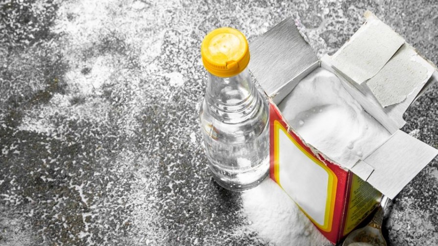 Bicarbonato: El rey de la casa - El buen vivir - Quién te Dice | DelSol 99.5 FM