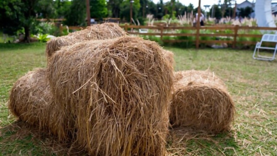 ¿Cuántas personas se masturban en el trabajo? - Sobremesa - La Mesa de los Galanes | DelSol 99.5 FM