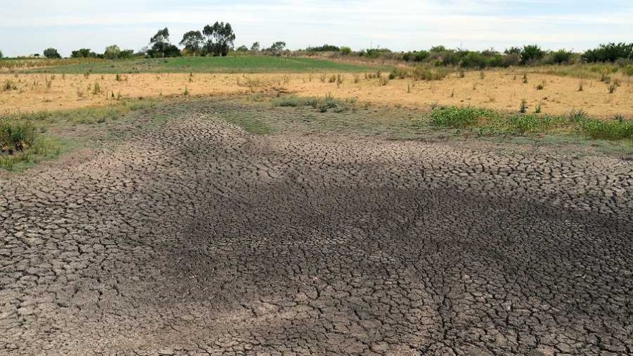 Madeleine Renom y Marcelo Barreiro hablaron de las tendencias climáticas y la sequía - NTN Concentrado - No Toquen Nada | DelSol 99.5 FM