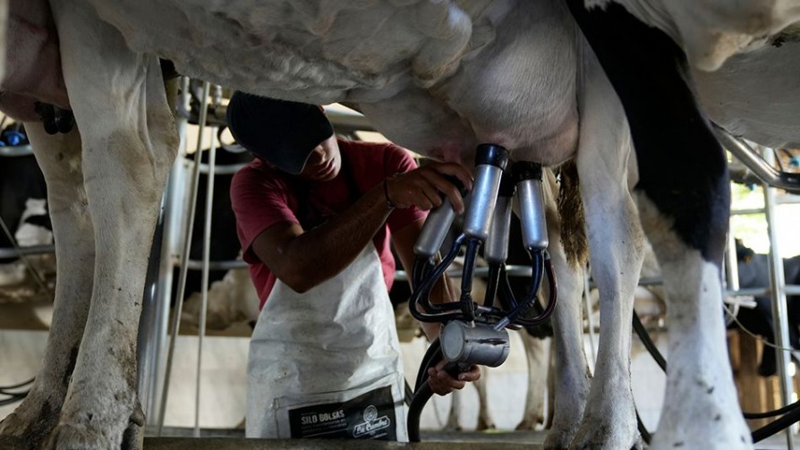 “Los productores están ordeñando, pero la leche no la está retirando nadie” - Entrevistas - Doble Click | DelSol 99.5 FM