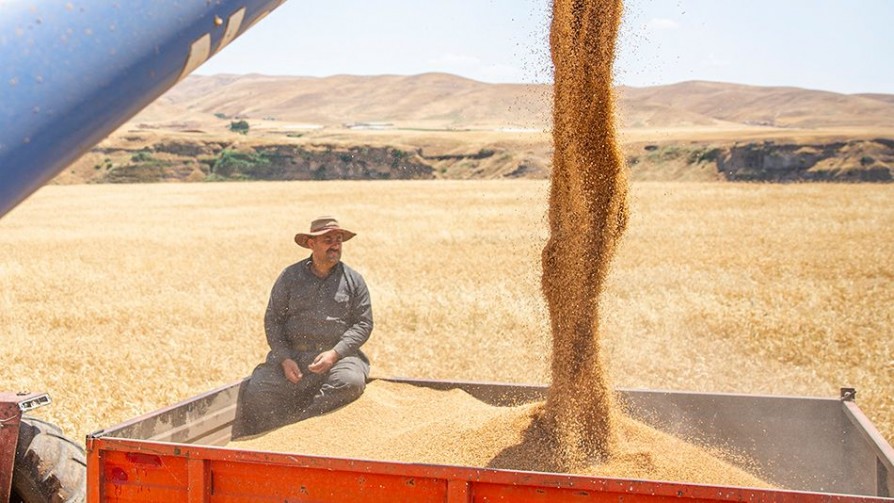 Comentarios de Orsi constiparon a los productores arroceros - Darwin concentrado - No Toquen Nada | DelSol 99.5 FM
