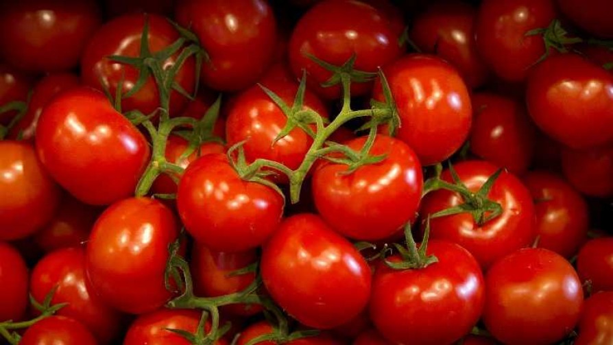 Superabundancia de tomates y baja de precios en abril - Entrevistas - No Toquen Nada | DelSol 99.5 FM